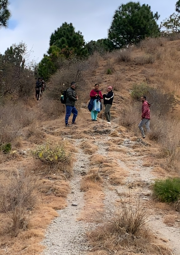 8201de31-7909-4315-be25-40a717872842